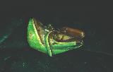  Tree frog playing dead
